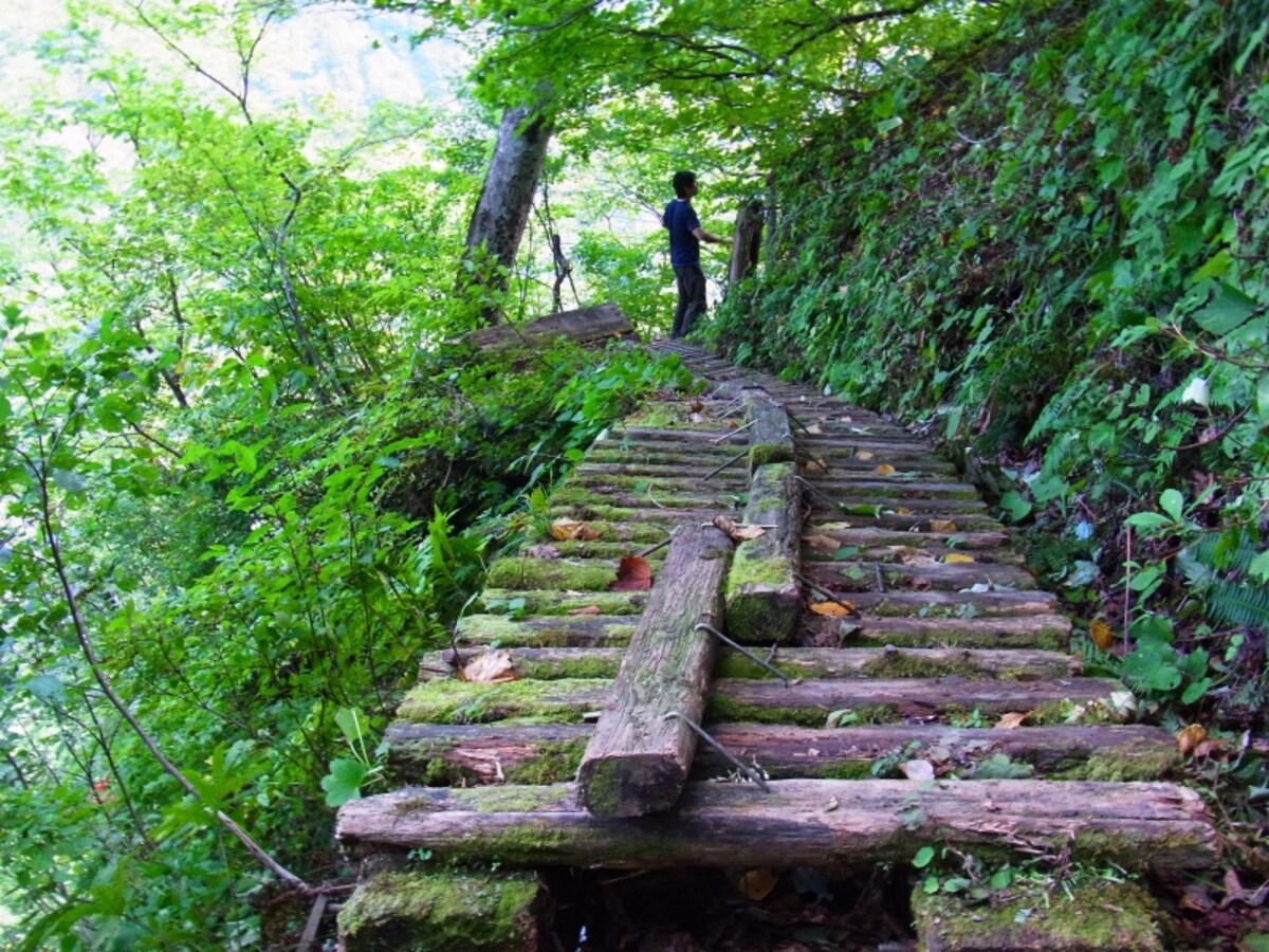 山崎旅館