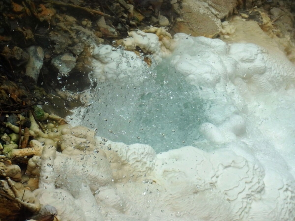山崎旅館