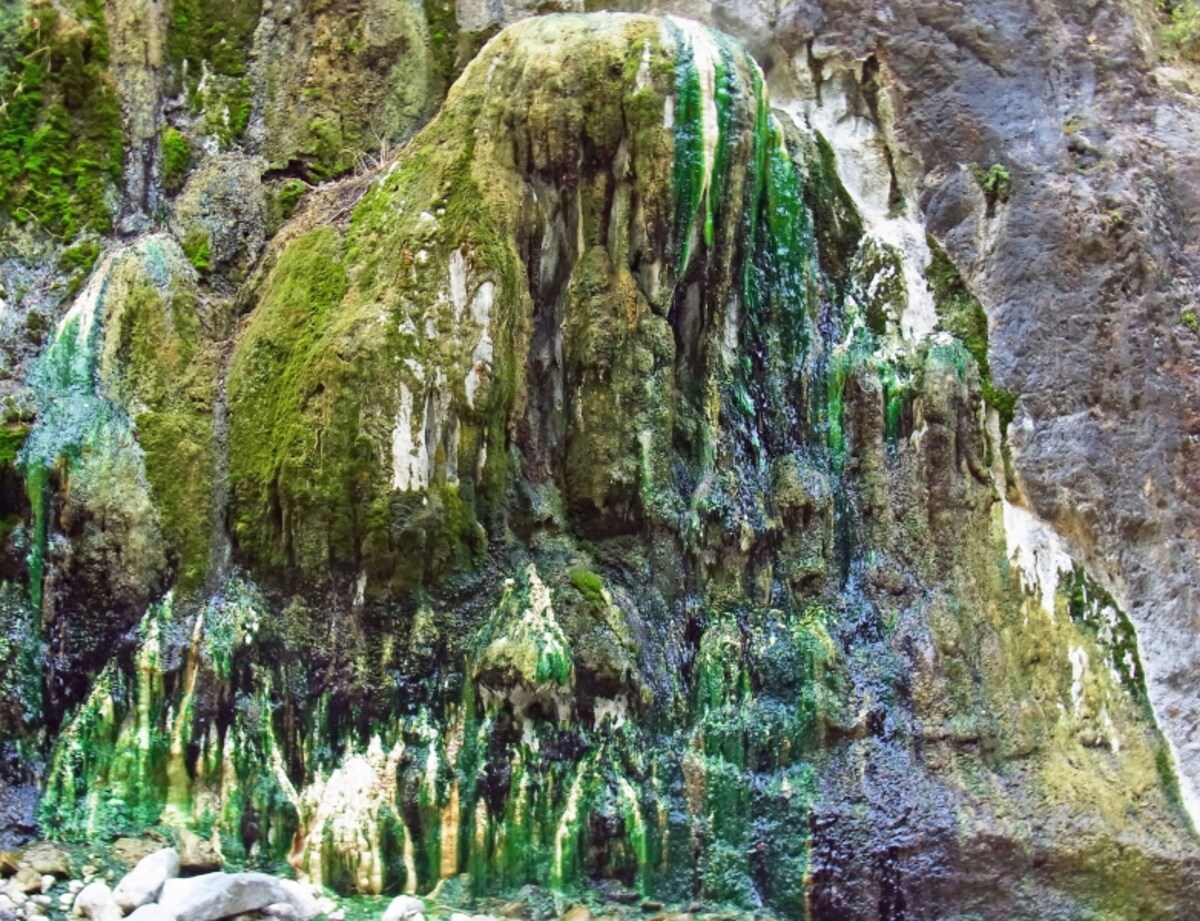 山崎旅館