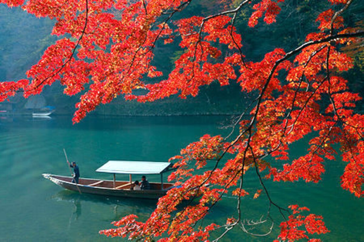 紅葉の嵐山と屋形船