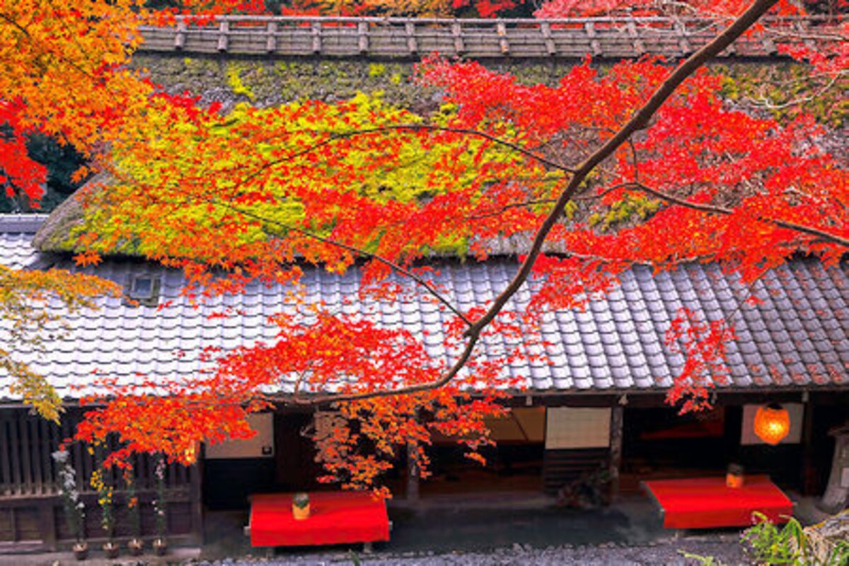 平野茶屋 紅葉の愛宕街道