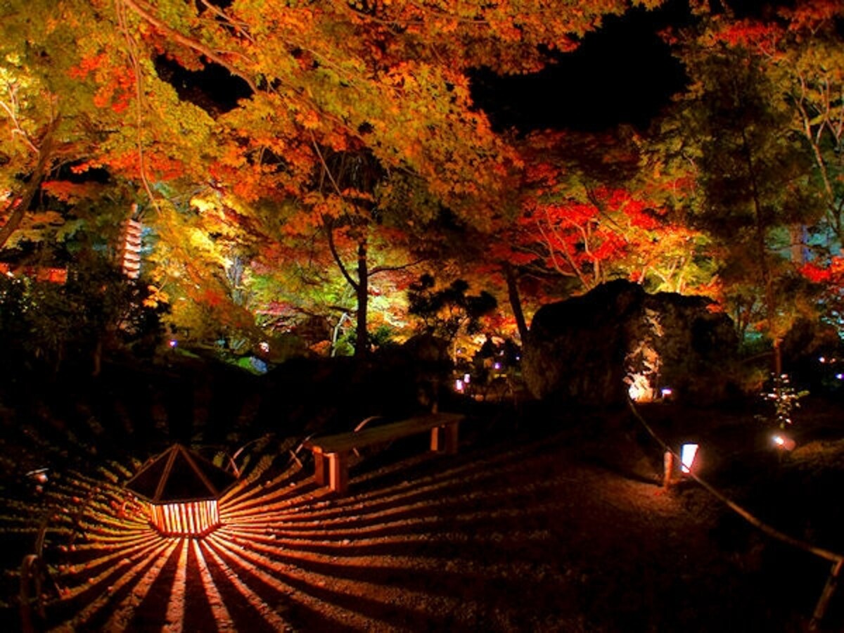 宝厳院「獅子吼の庭」の紅葉ライトアップ