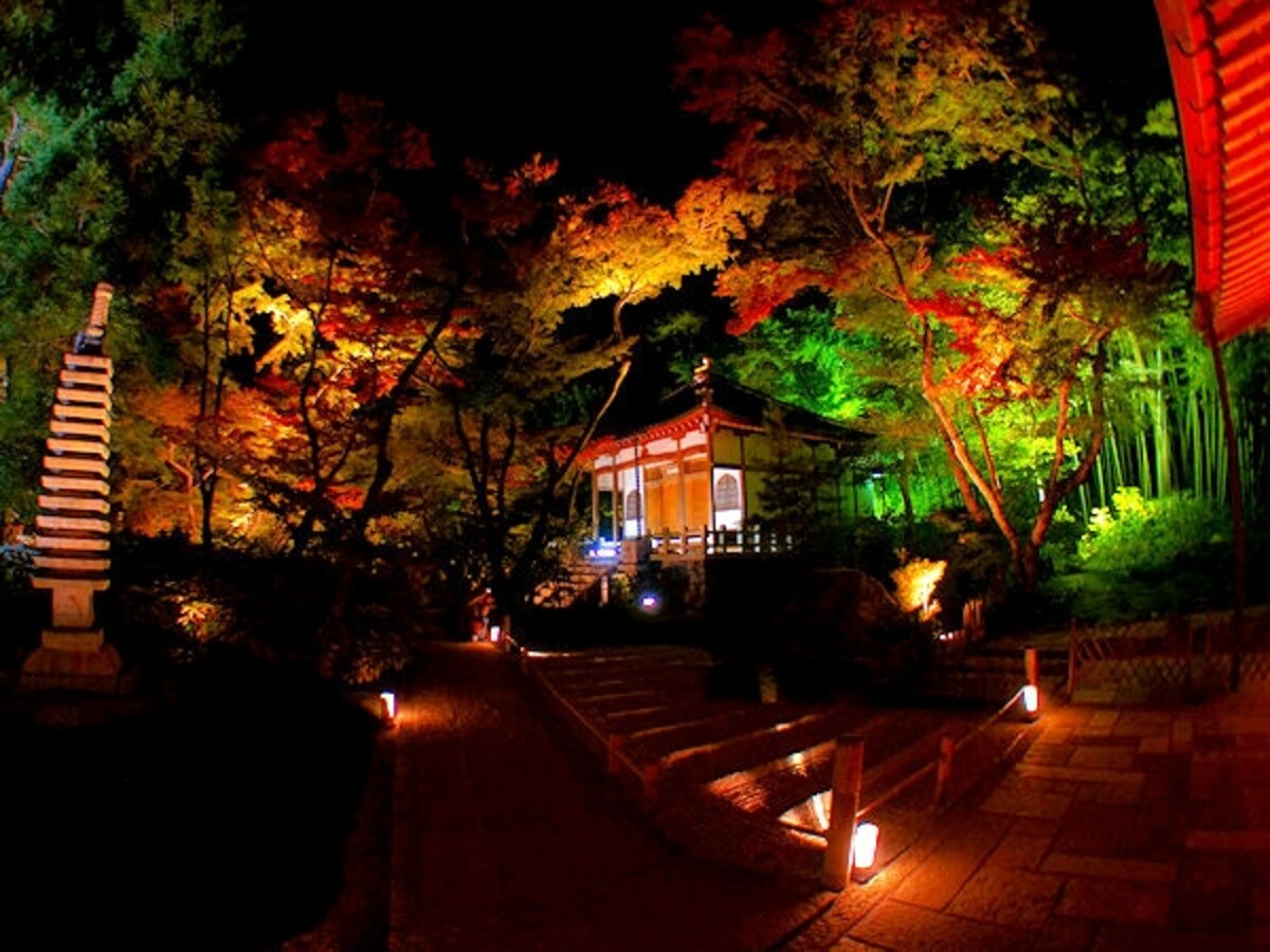 宝厳院「獅子吼の庭」の紅葉ライトアップ