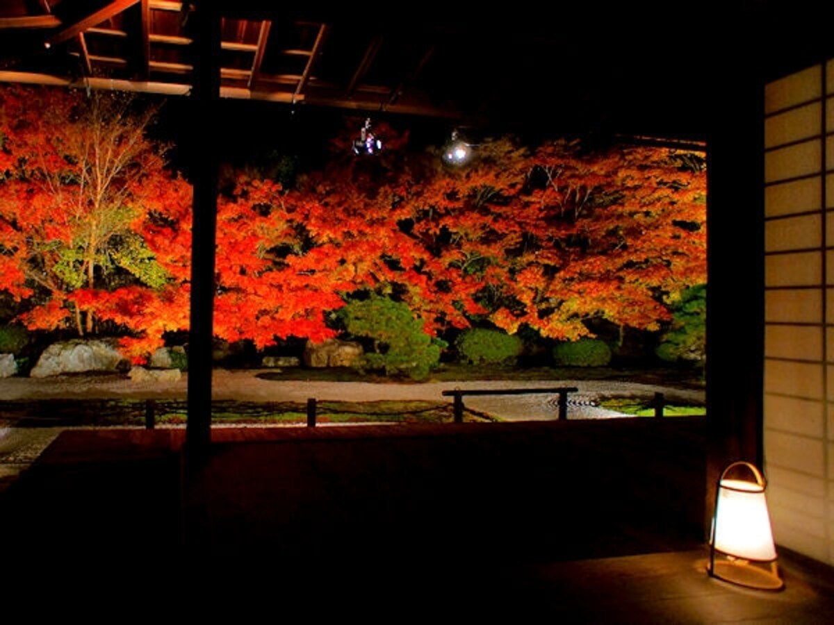 天授庵の紅葉ライトアップ