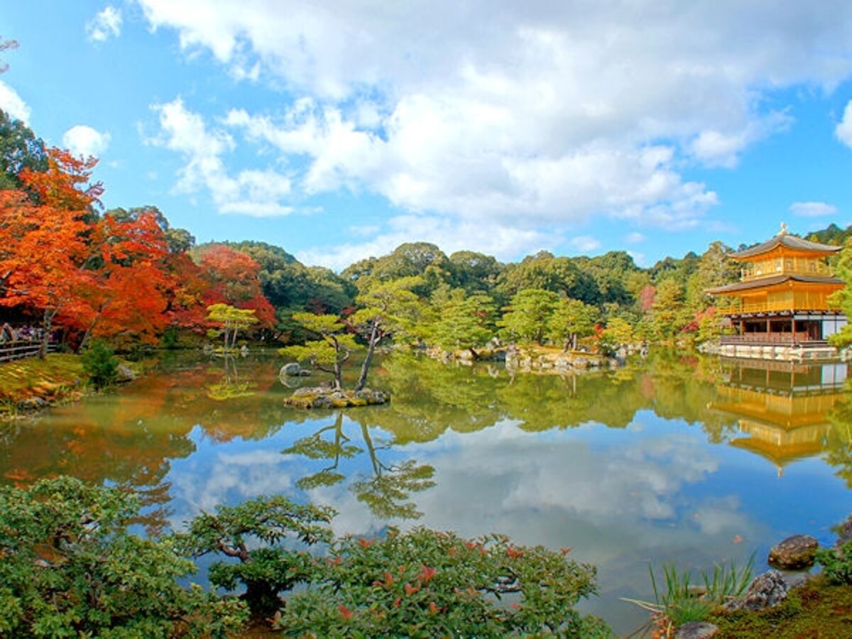 金閣寺の紅葉