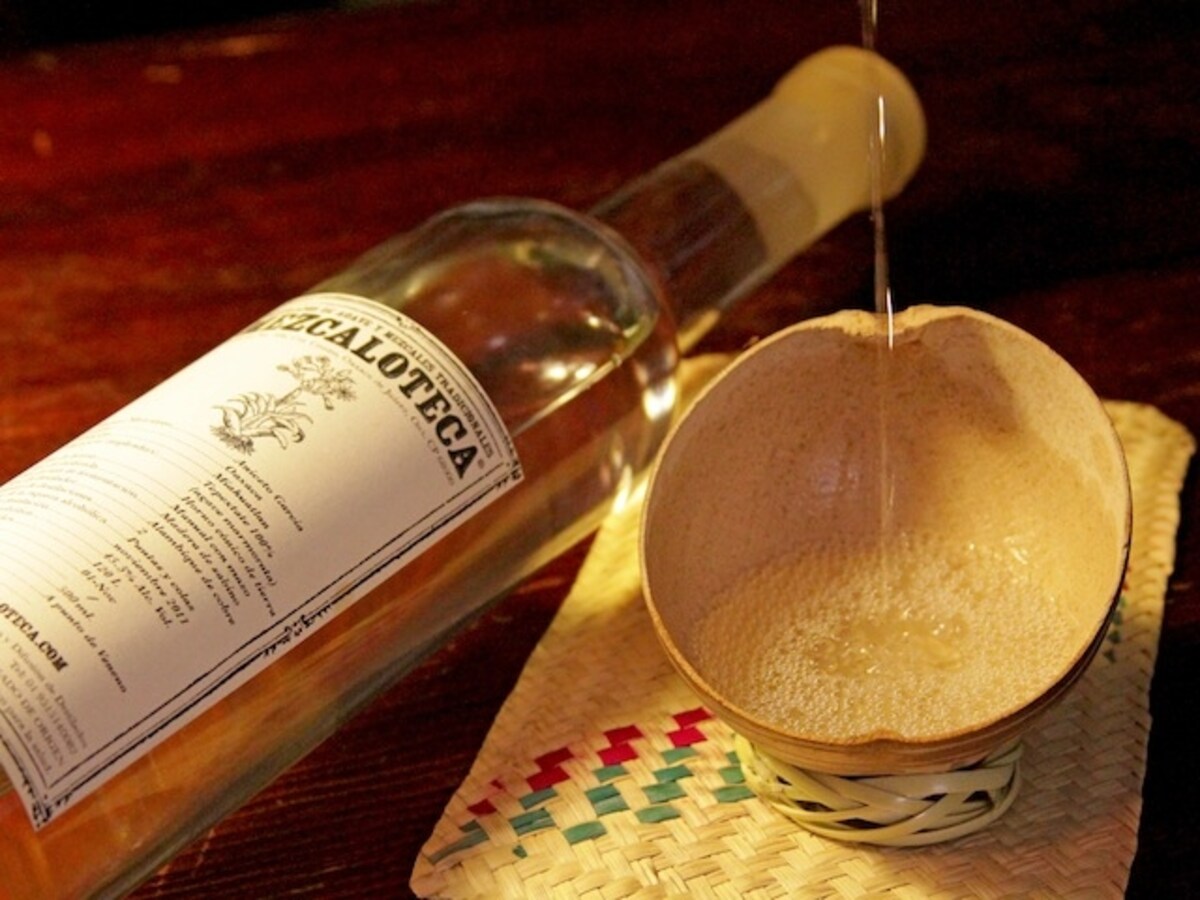 mezcaloteca3