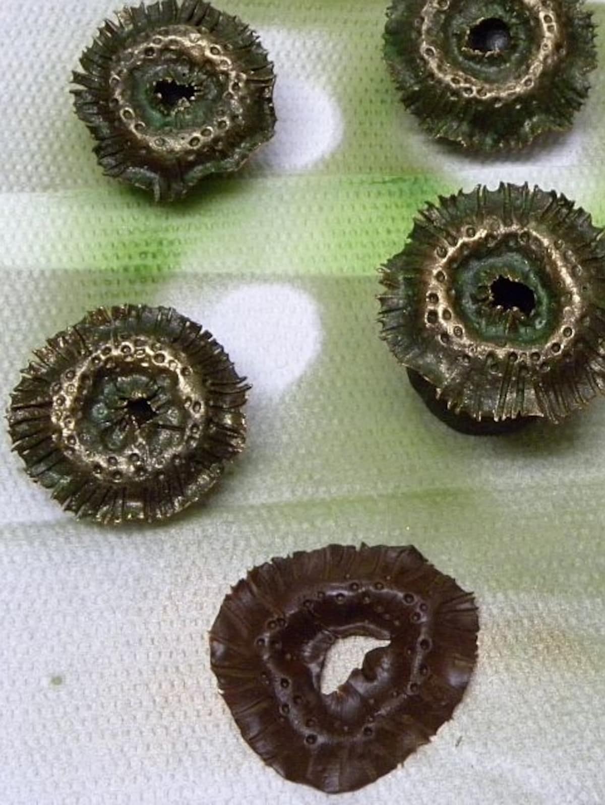 横田秀夫シェフが作られたチョコレートのイソギンチャク