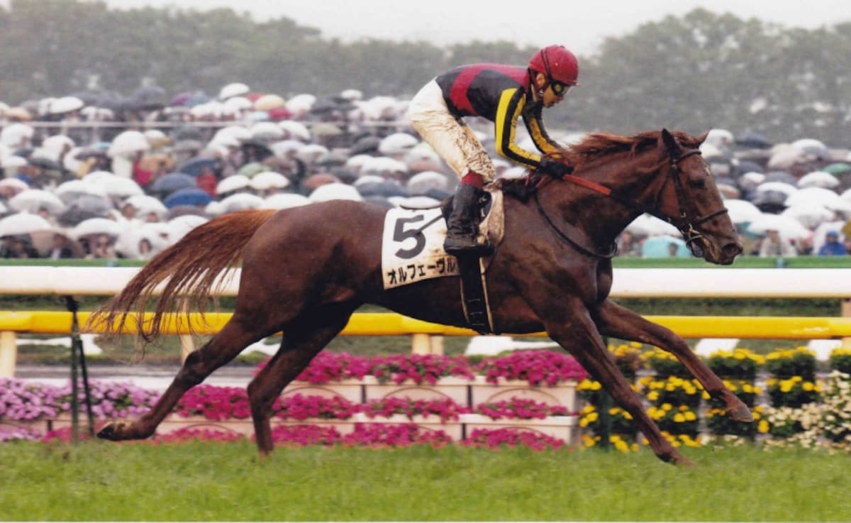 2011derby