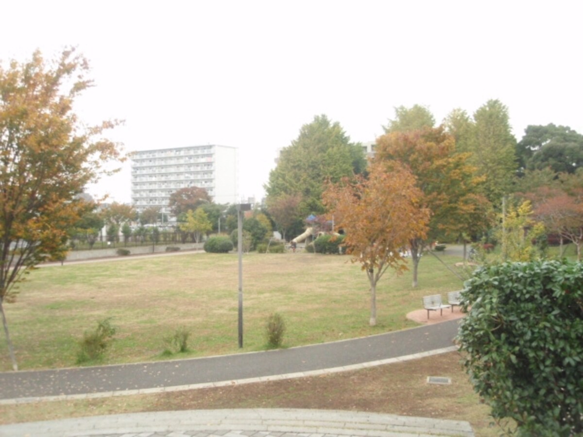 公園