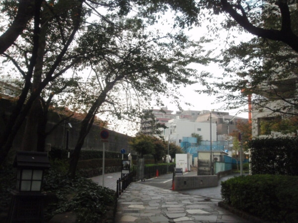 建設中の現地