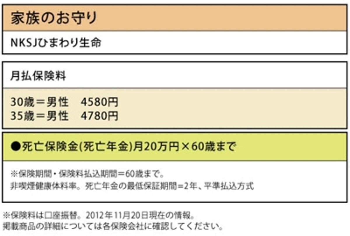 NKSJひまわり生命「家族のお守り」