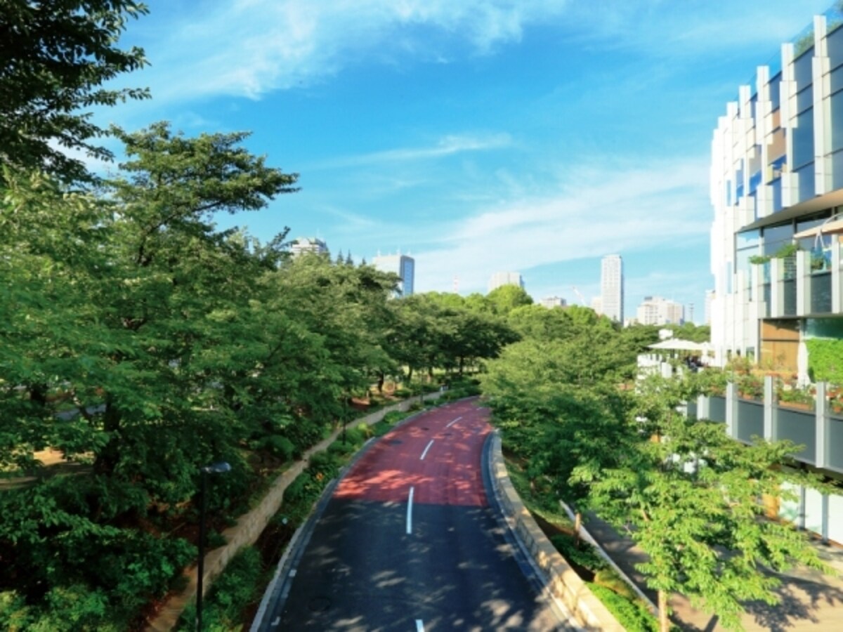 檜町公園の沿道に咲く桜並木（現地より約570m/徒歩8分）　※平成24年4月撮影