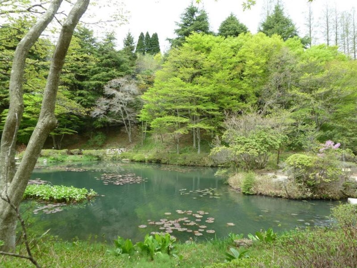 六甲高山植物園