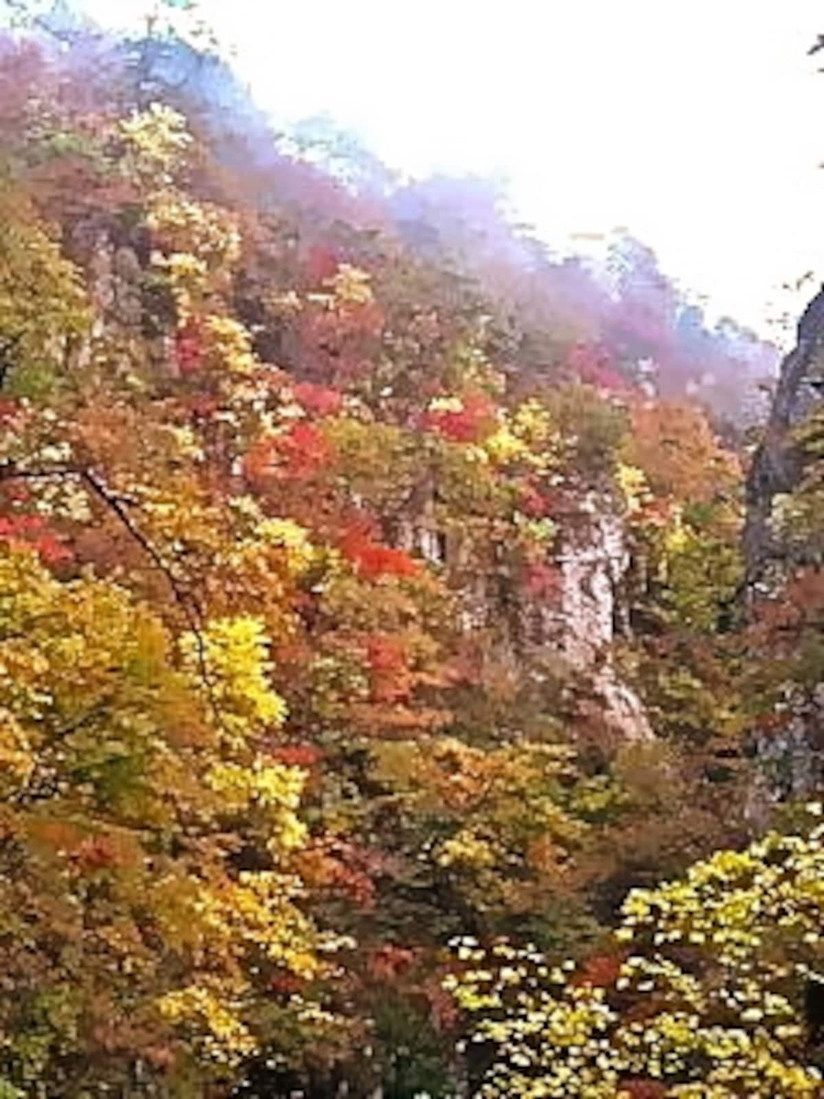 鳴子峡