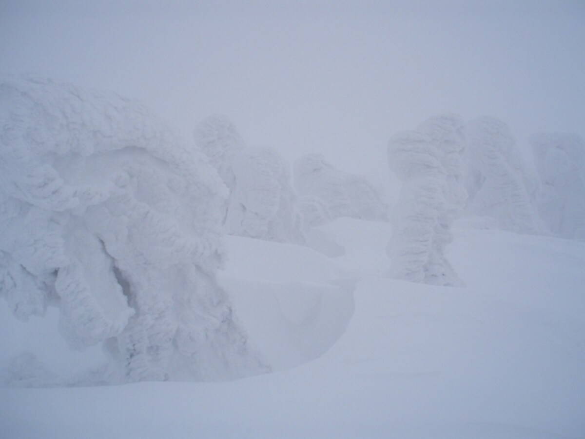 吹雪の中のスノーモンスター