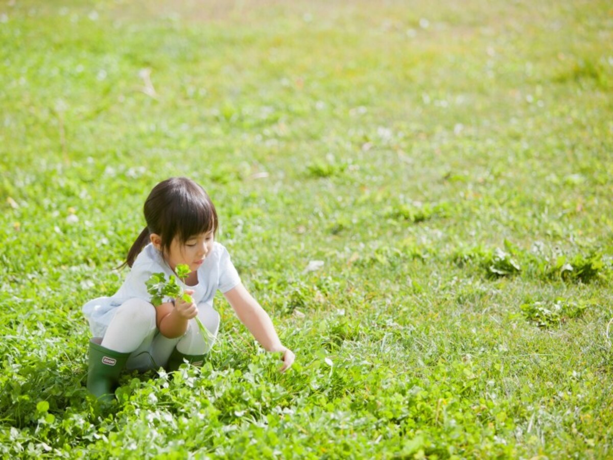 子どもの時に色々と経験をさせよう