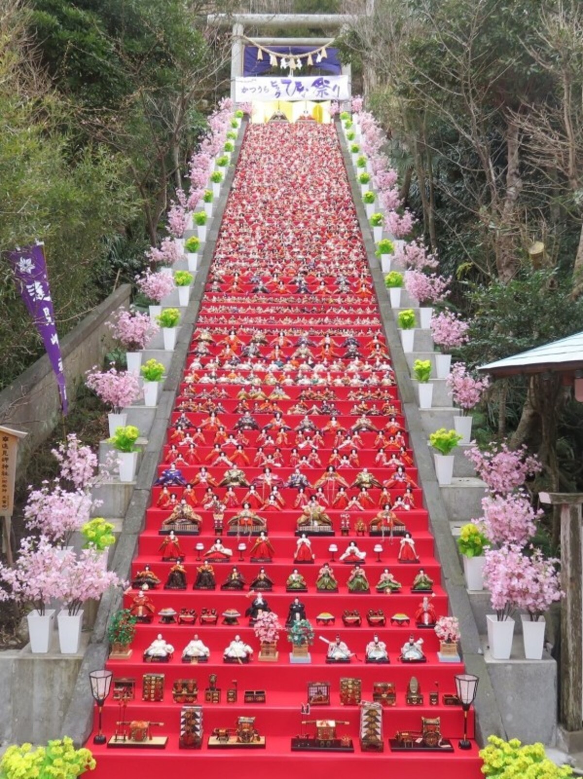「かつうらビッグひな祭り」で、遠見岬神社の石段にずらりと並んだひな人形。