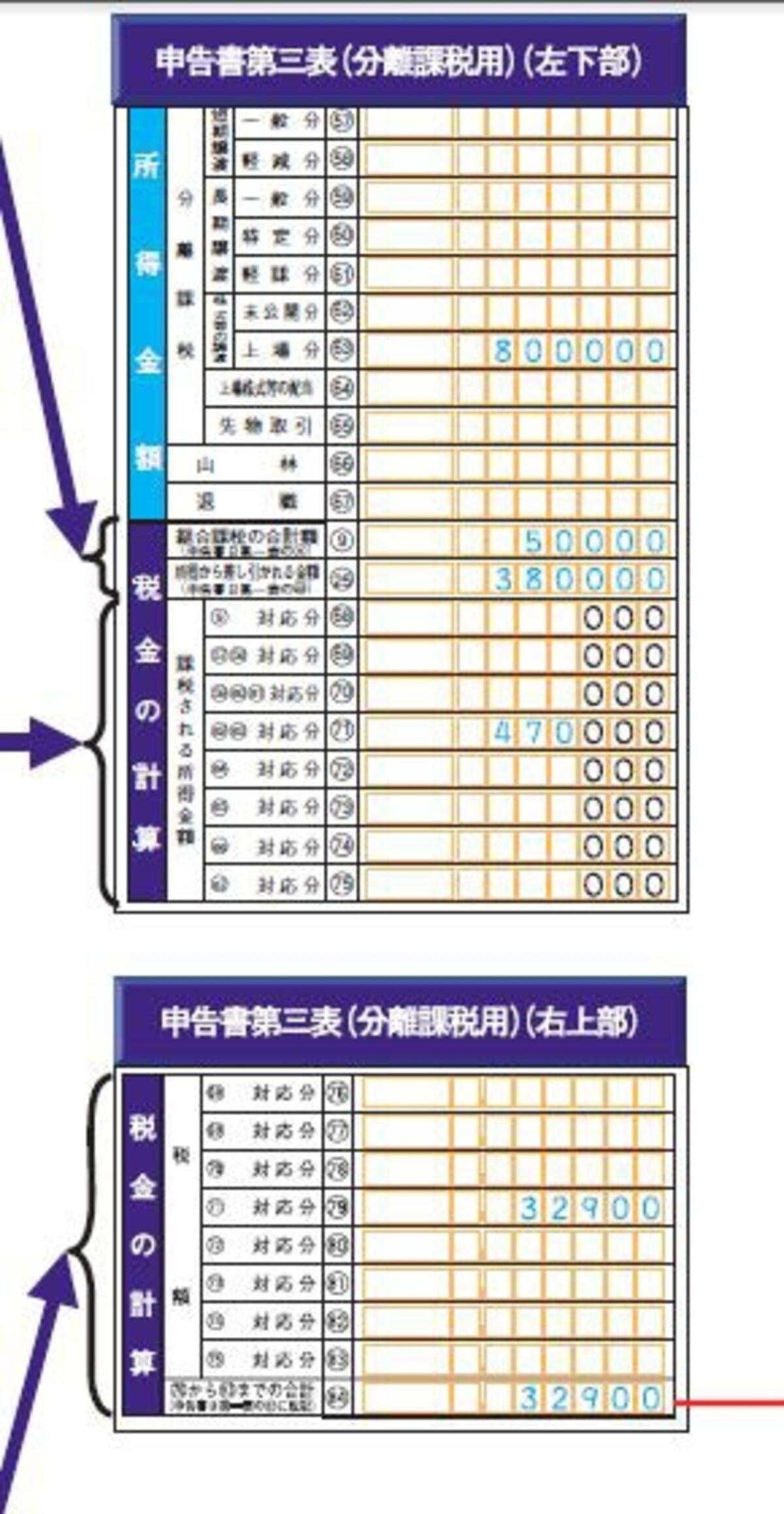分離課税申告書への記載例（出典：国税庁ホームページ）