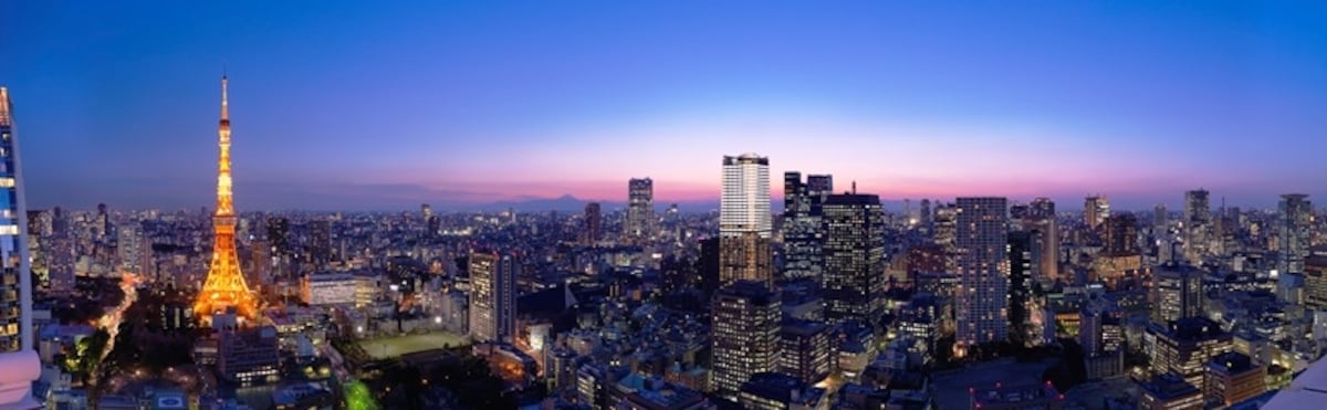 「愛宕グリーンヒルズフォレストタワー」より撮影（平成24年8月）