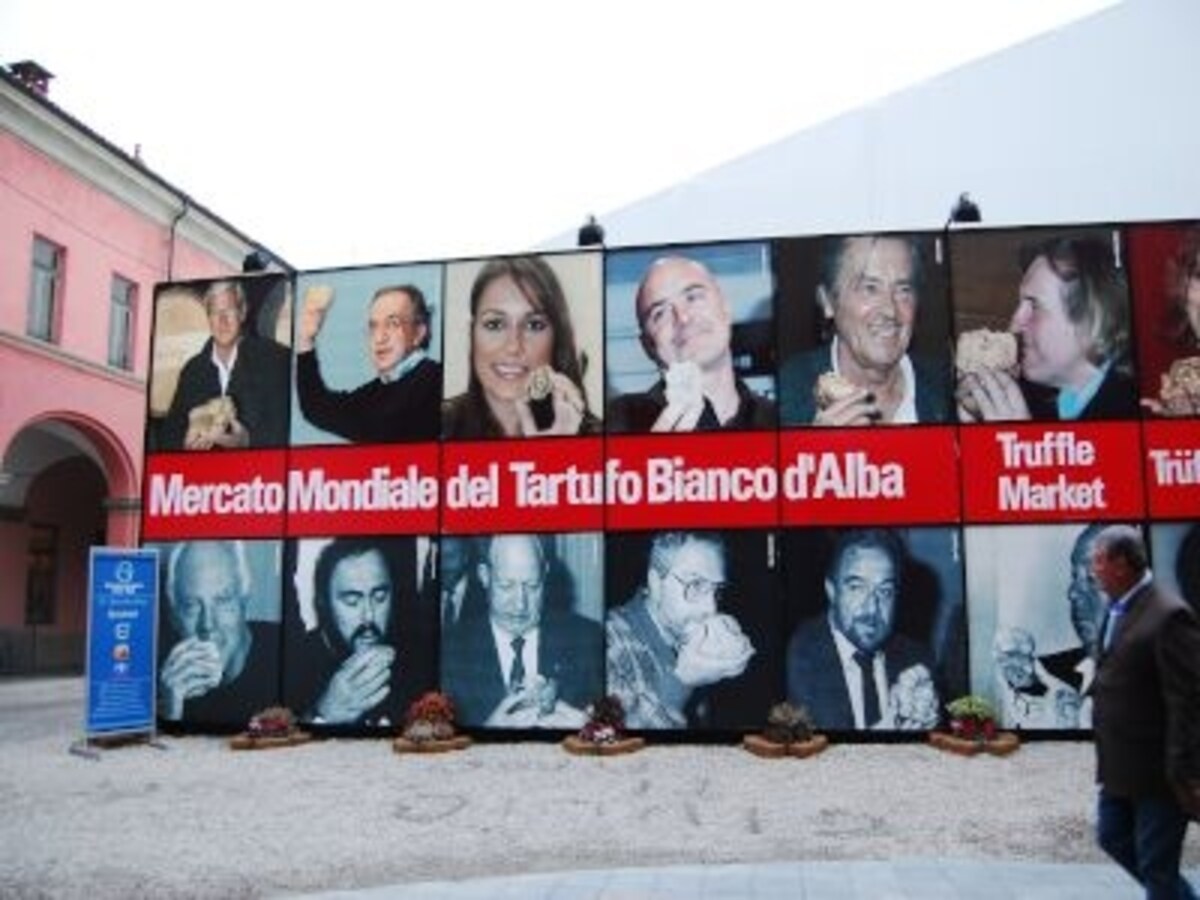 alba1