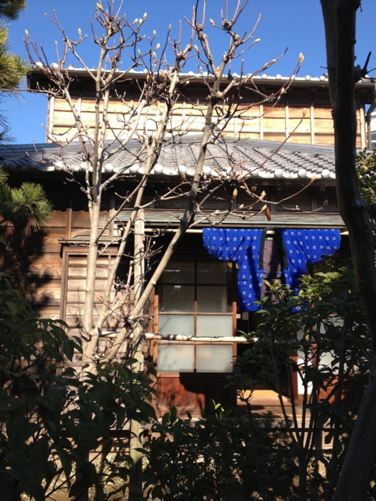 浦安市郷土博物館