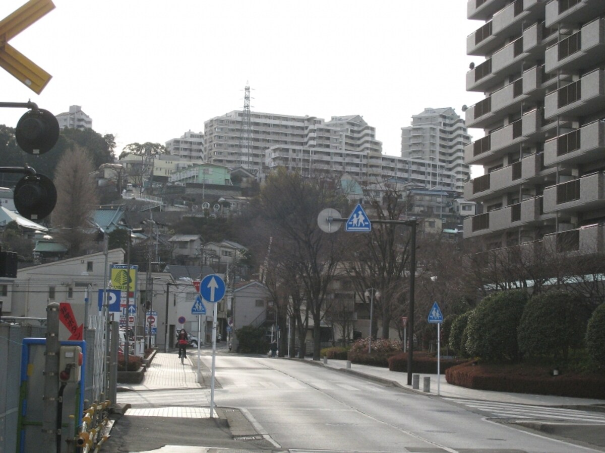 傾斜地