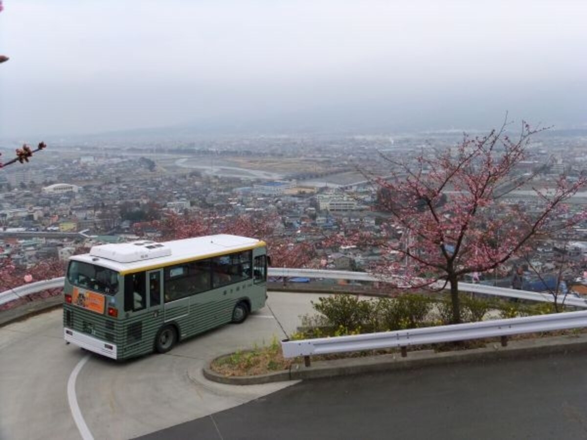 桜まつり会場と松田駅、臨時駐車場を結ぶシャトルバス