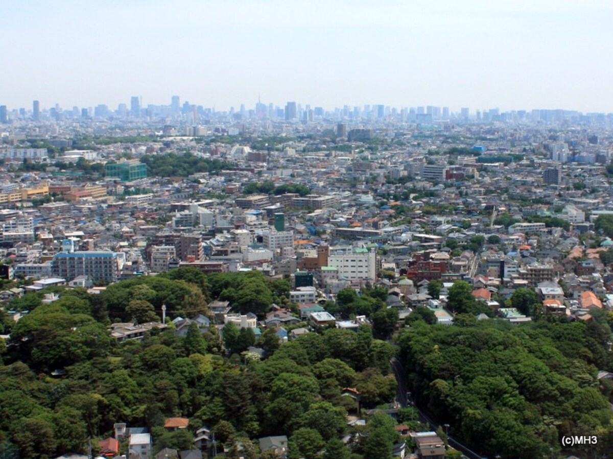 手前の森が「風致地区」（世田谷区の例）