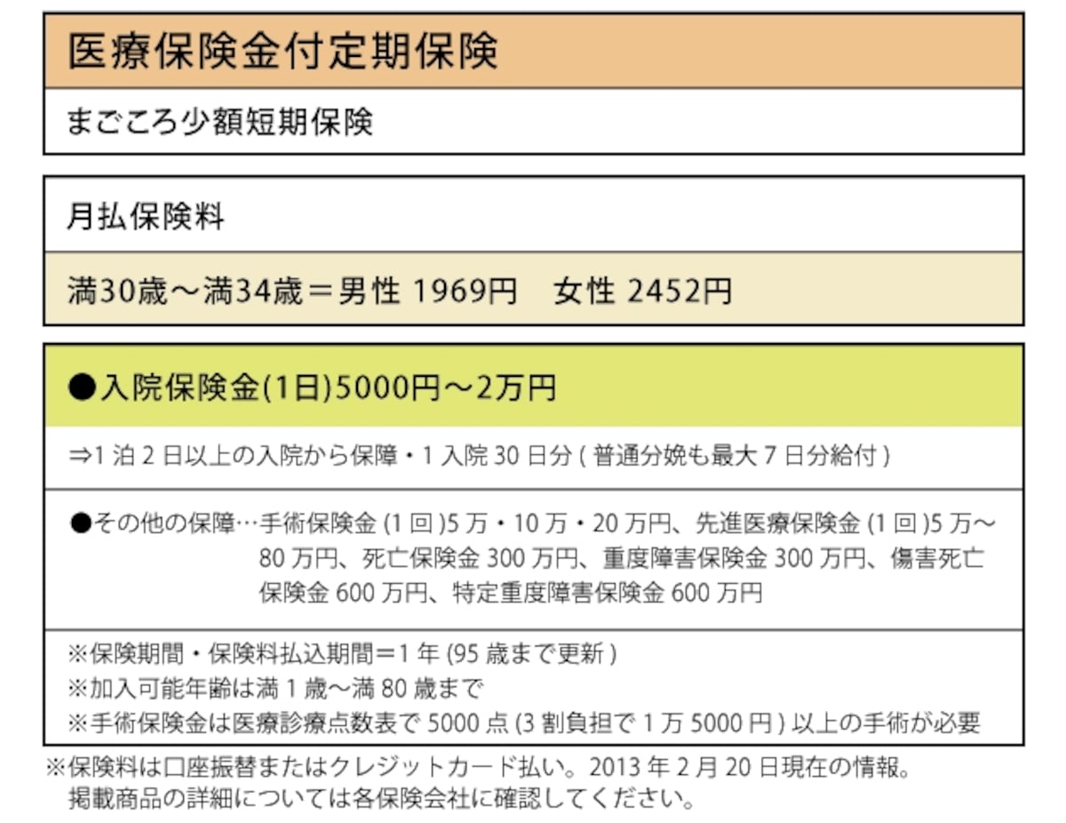 まごころ少額短期保険「医療保険金付定期保険」
