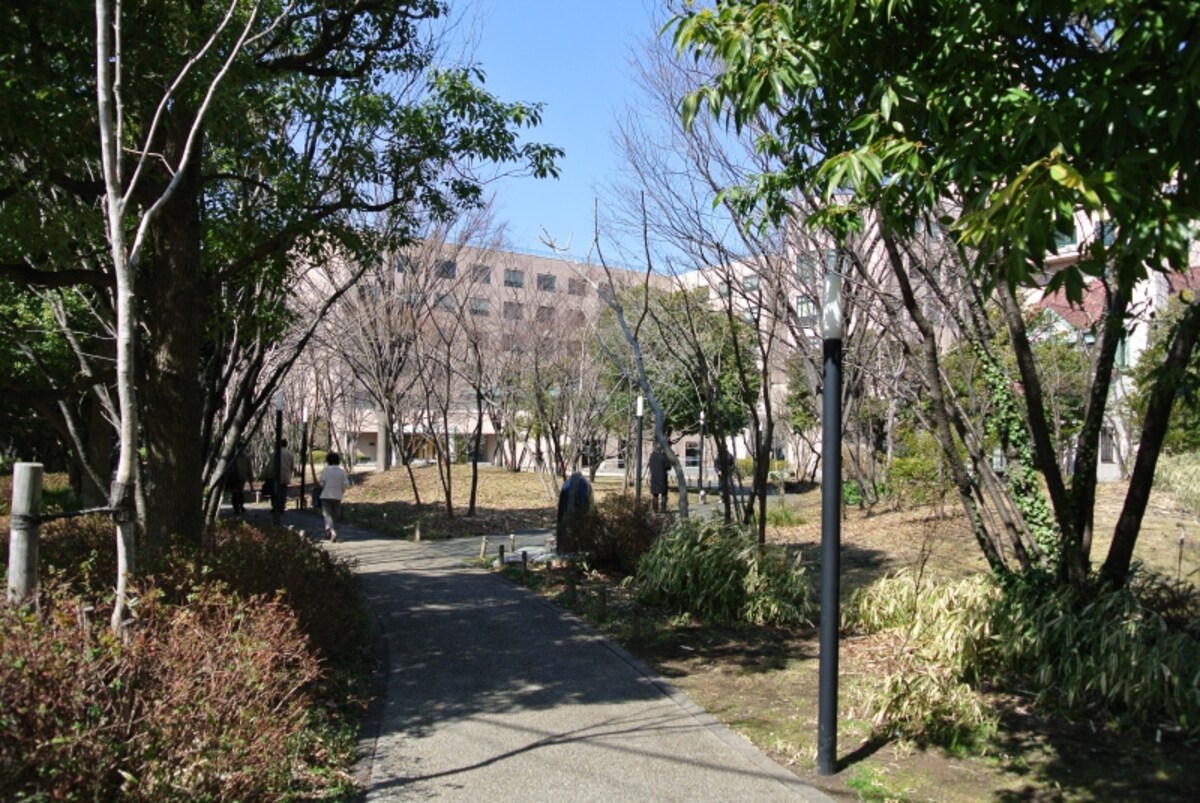 遊歩道