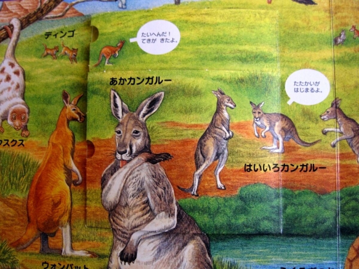 イラスト部分写真