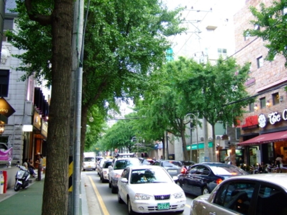 カロスキル（街路樹通り）