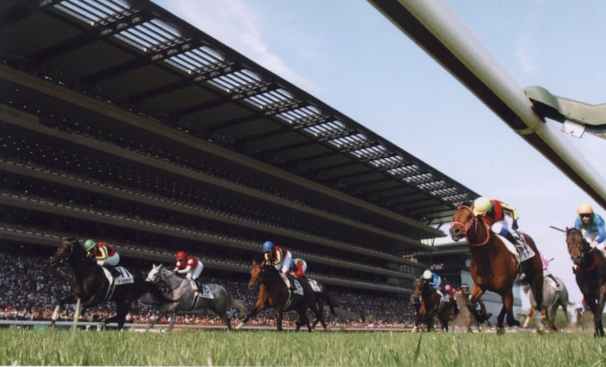 derby