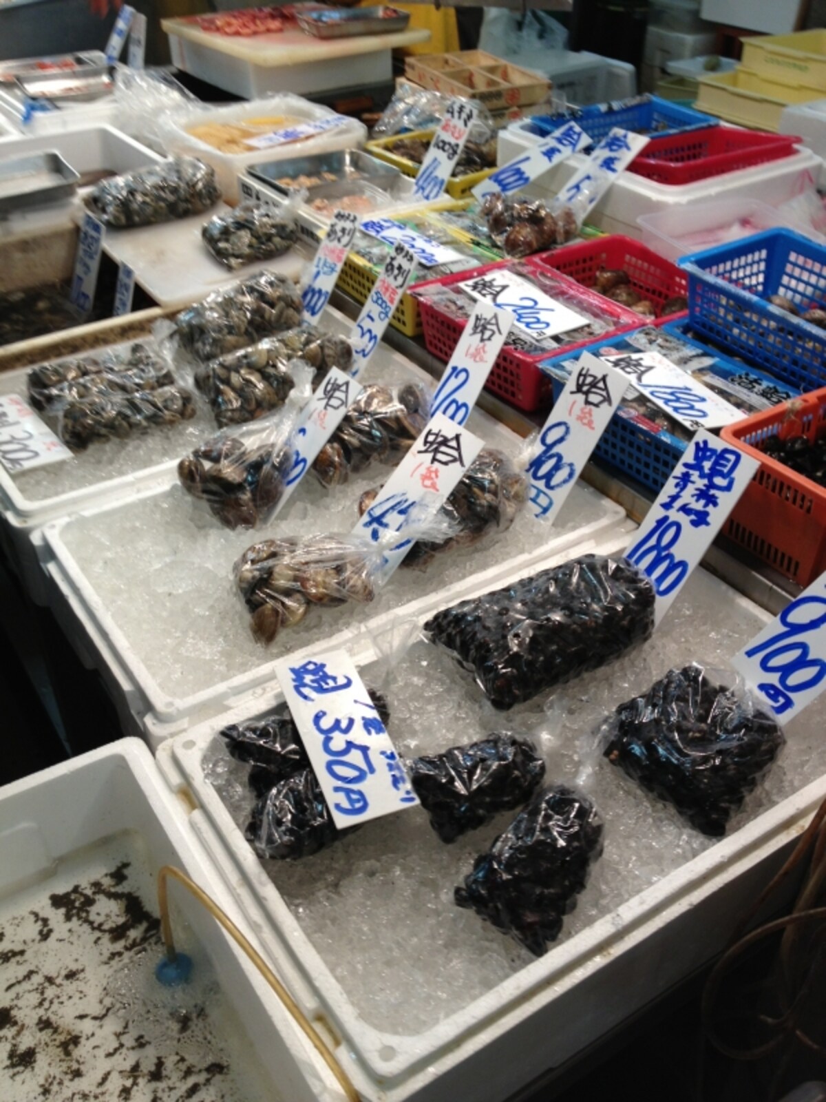 浦安魚市場