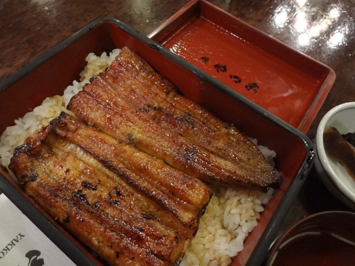 うなぎやっ古