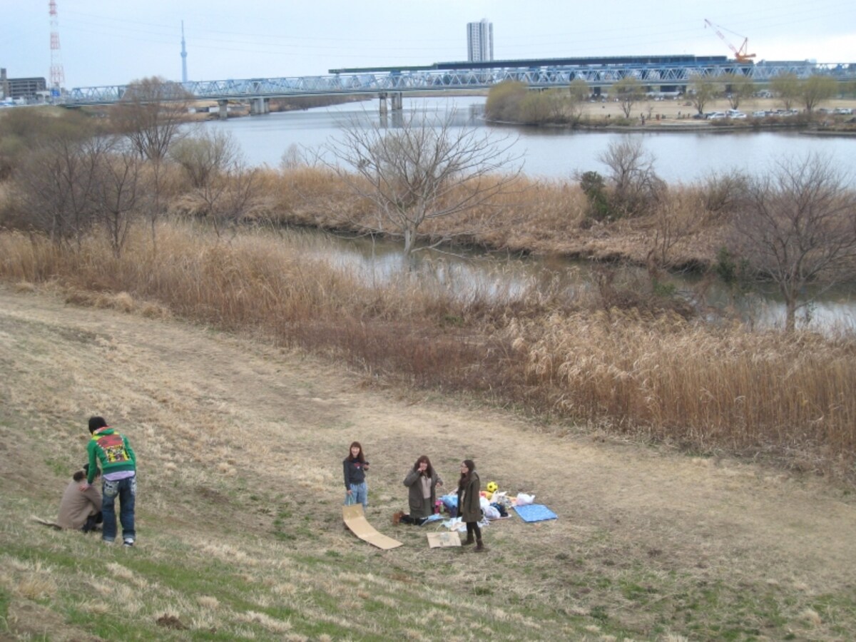 江戸川