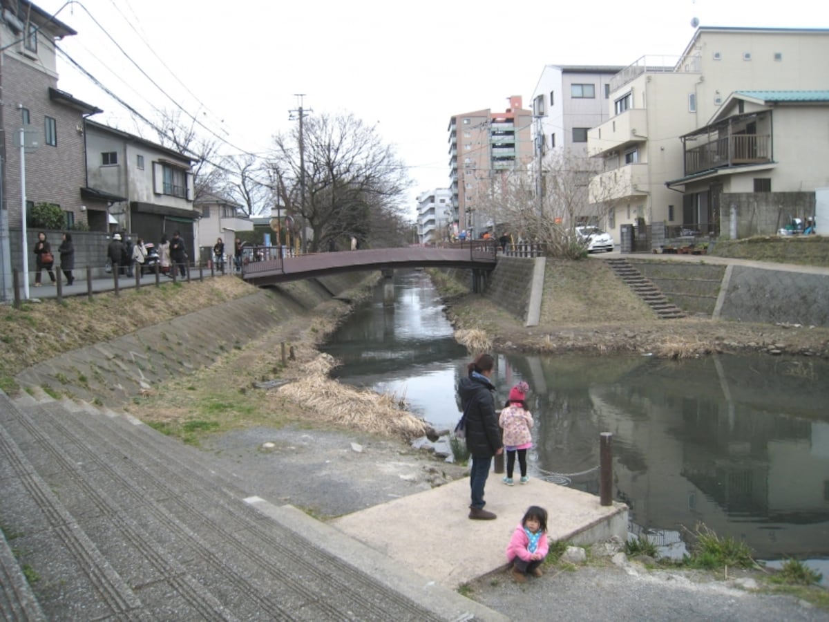坂川