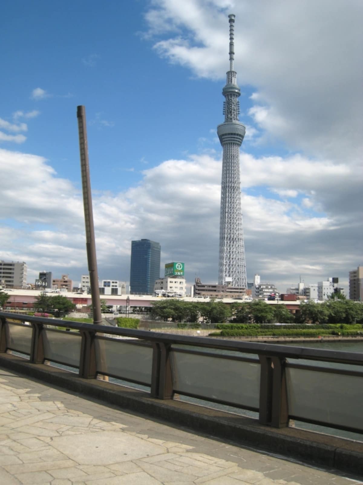 隅田川から見たスカイツリー