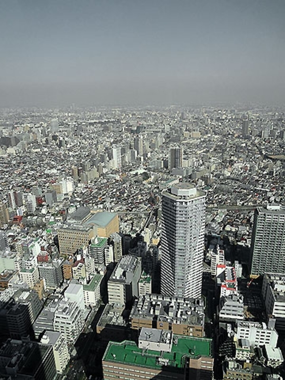 サンシャインクルーズクルーズ 景色