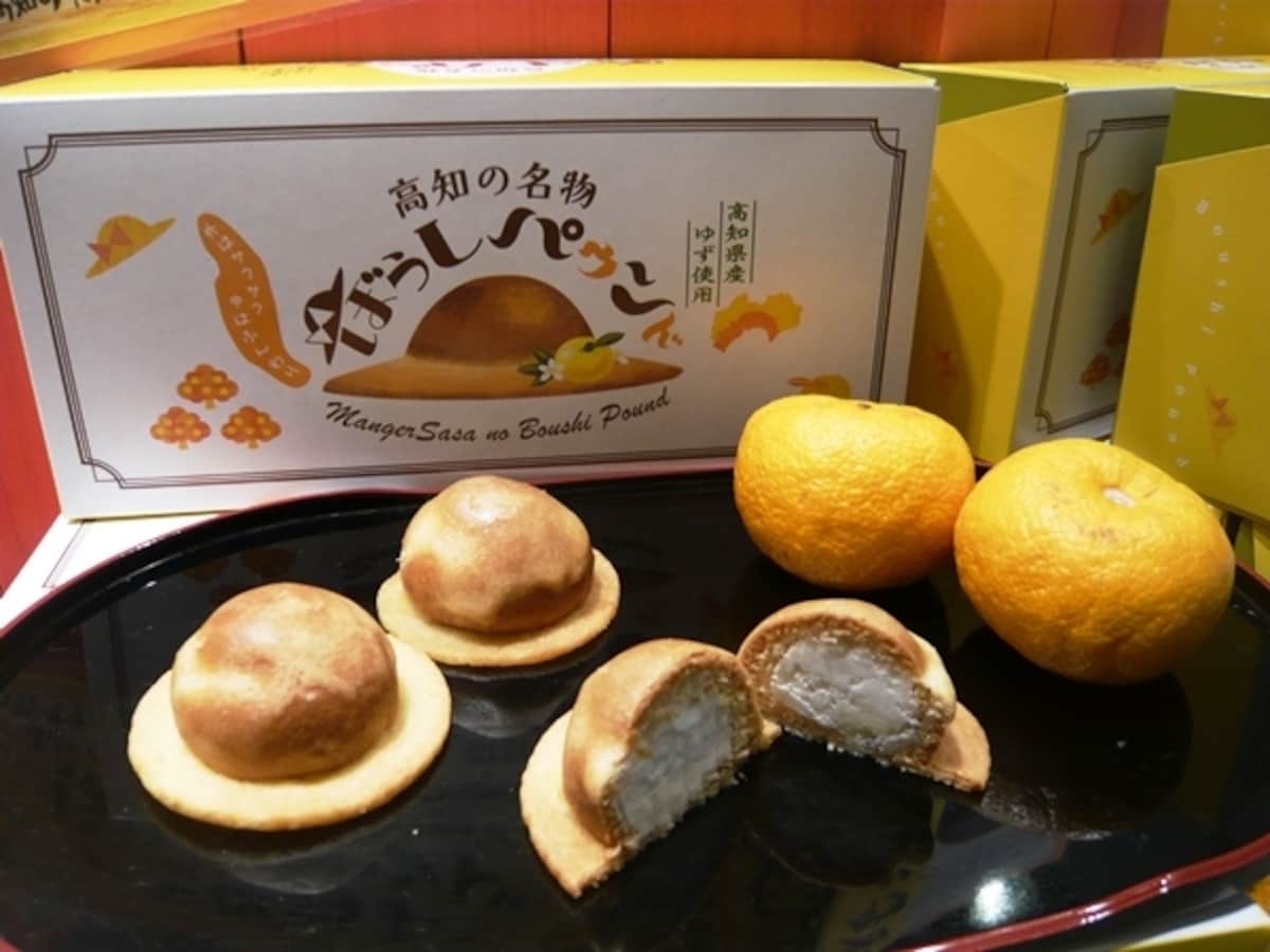 土佐帽子パウンド