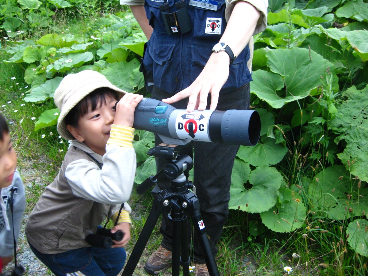 たびいく