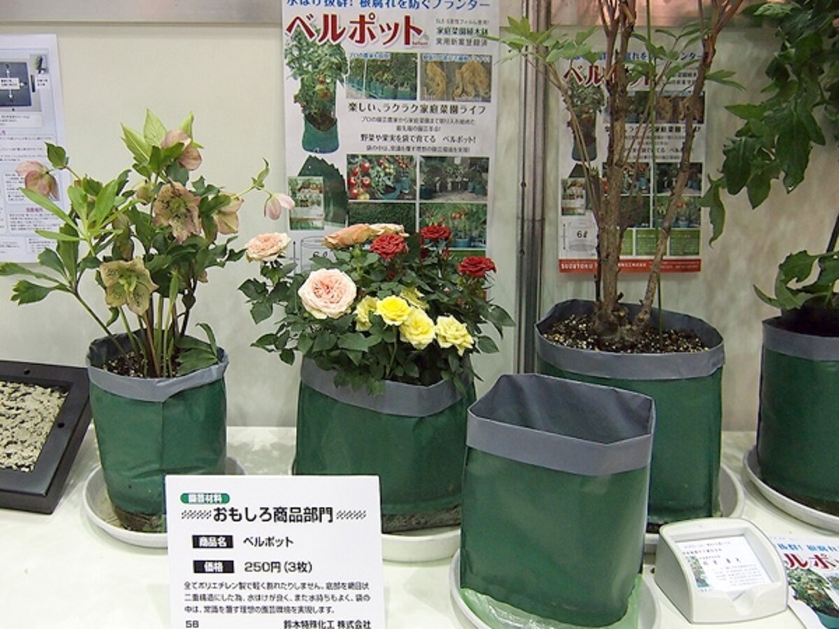 ベルポット