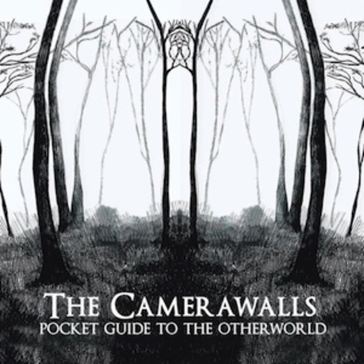 pocketguidetotheotherworld