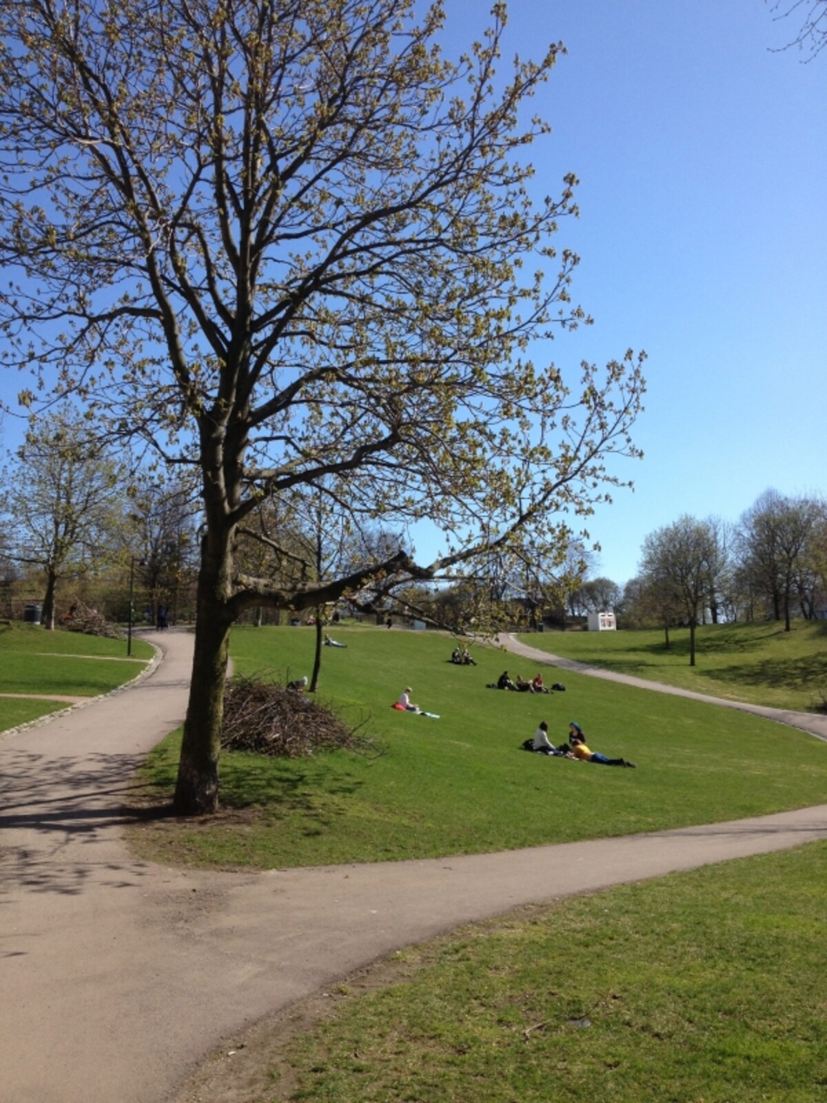 park lunch