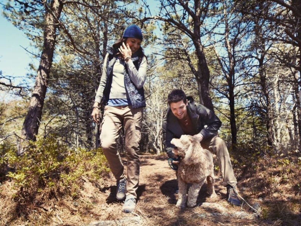 Timberland 2013春夏コレクション
