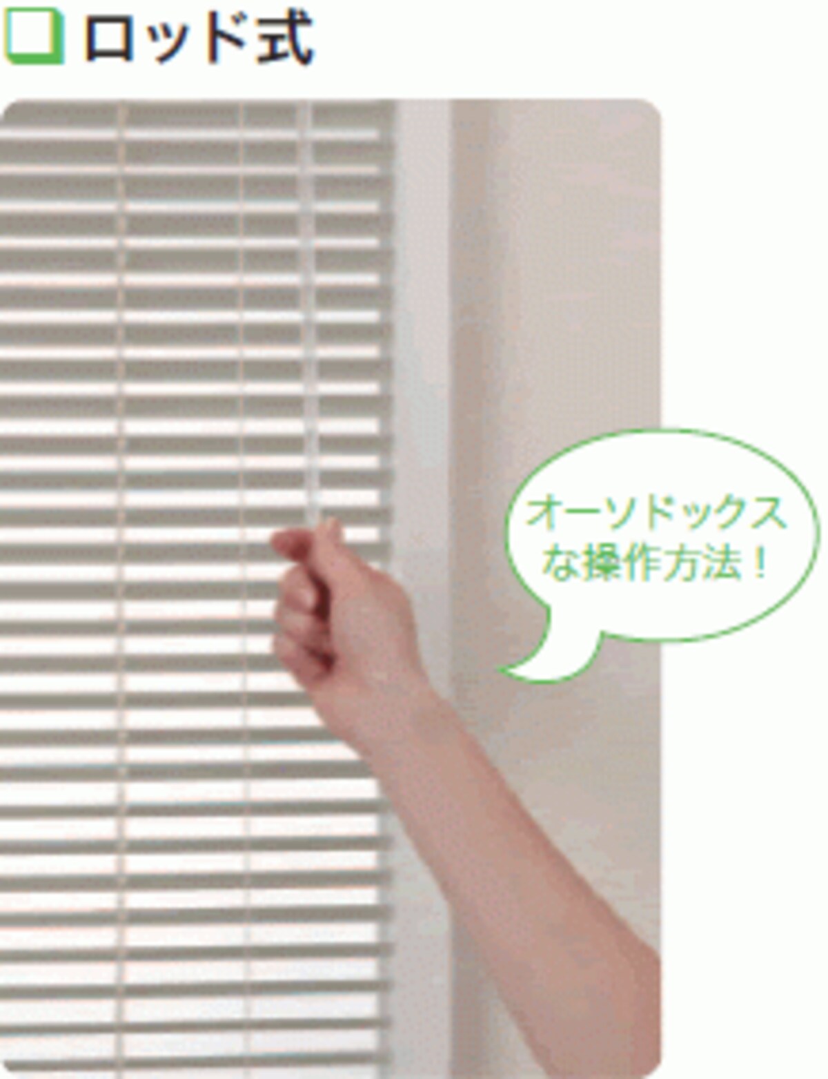 ロッド式