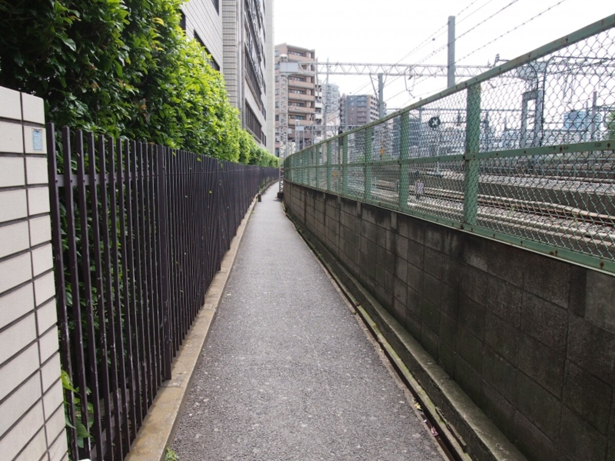 通る人はほとんどいない。たまに地元の人が通行する程度だ