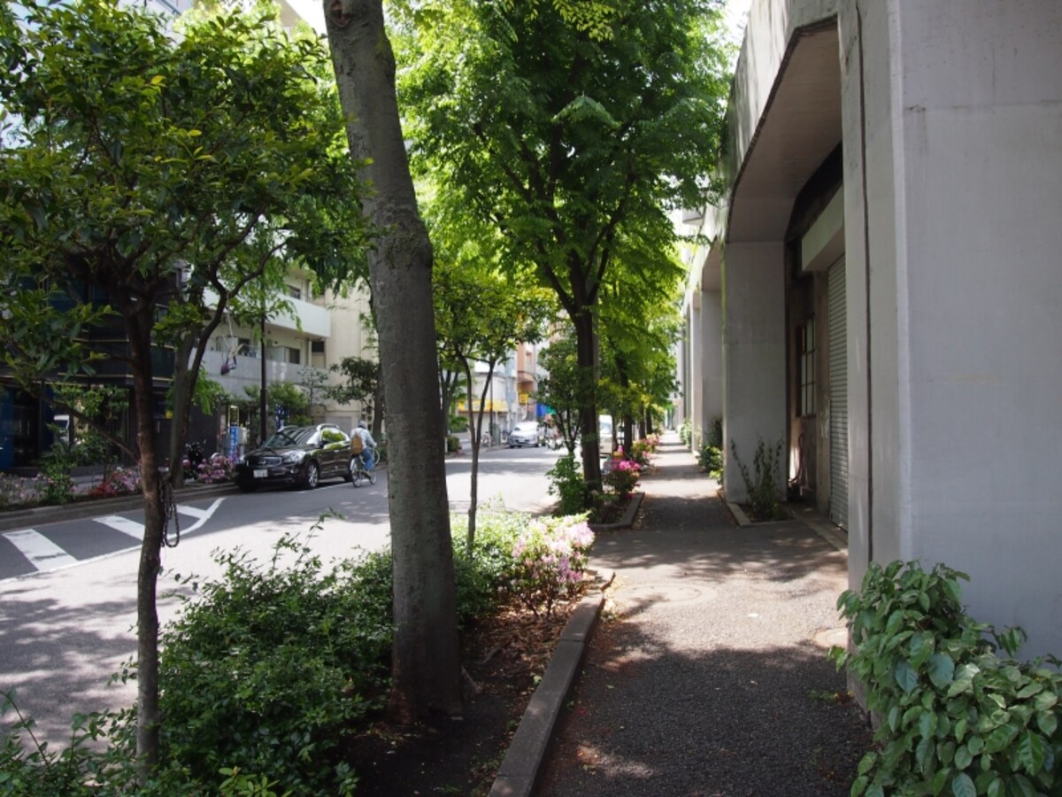右側は高い塀のようなかんじになっている
