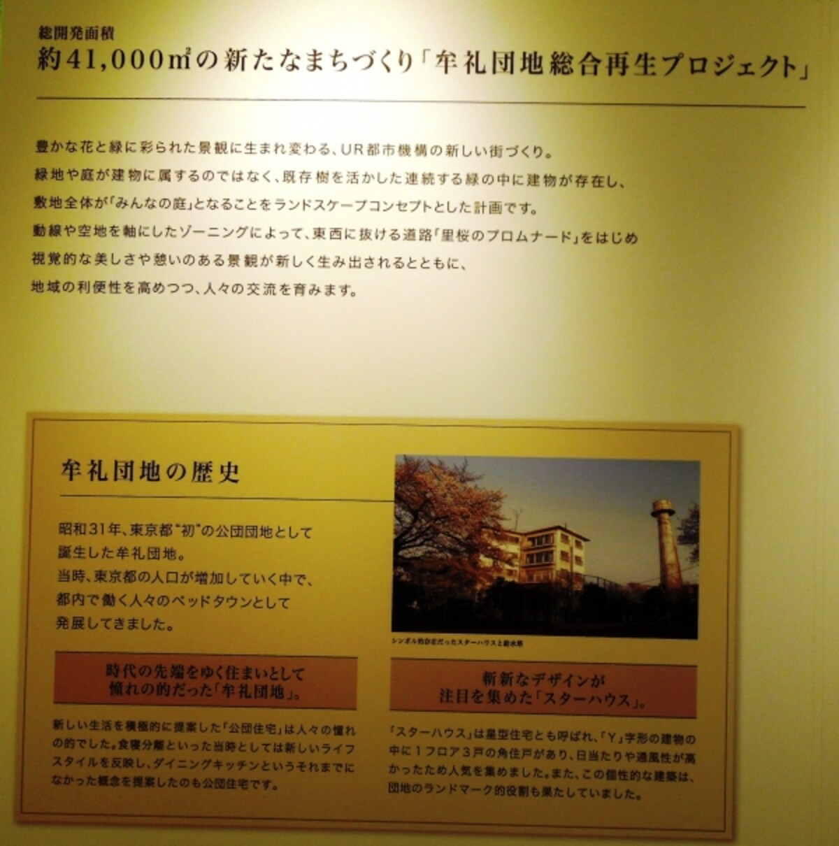 団地説明