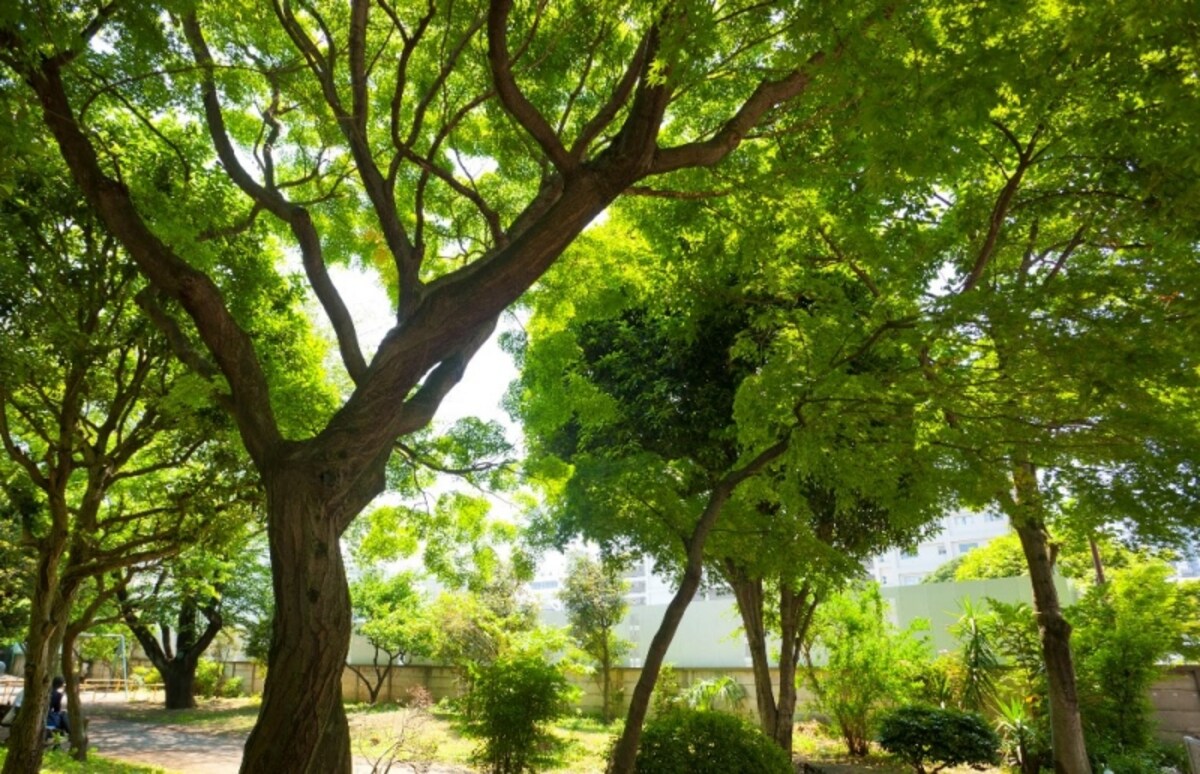 隣接するもくせい公園（徒歩1分/約10m）